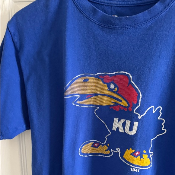 Champion Authentic Blue T-Shirt - Picture 4 of 10